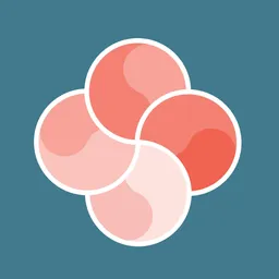 Reflections | Projections